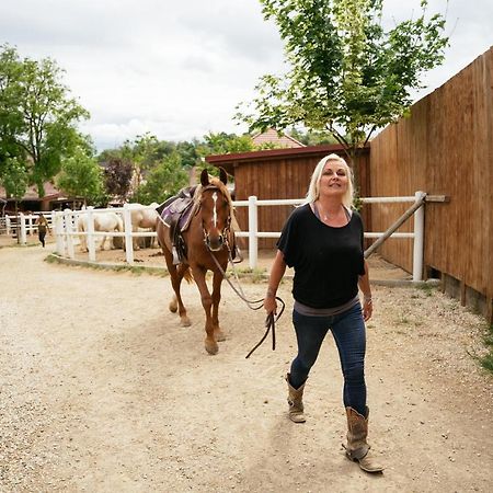 Ranchzimmer Am Hippo-Campus Reit- Und Therapiezentrum Deutsch Haslau エクステリア 写真
