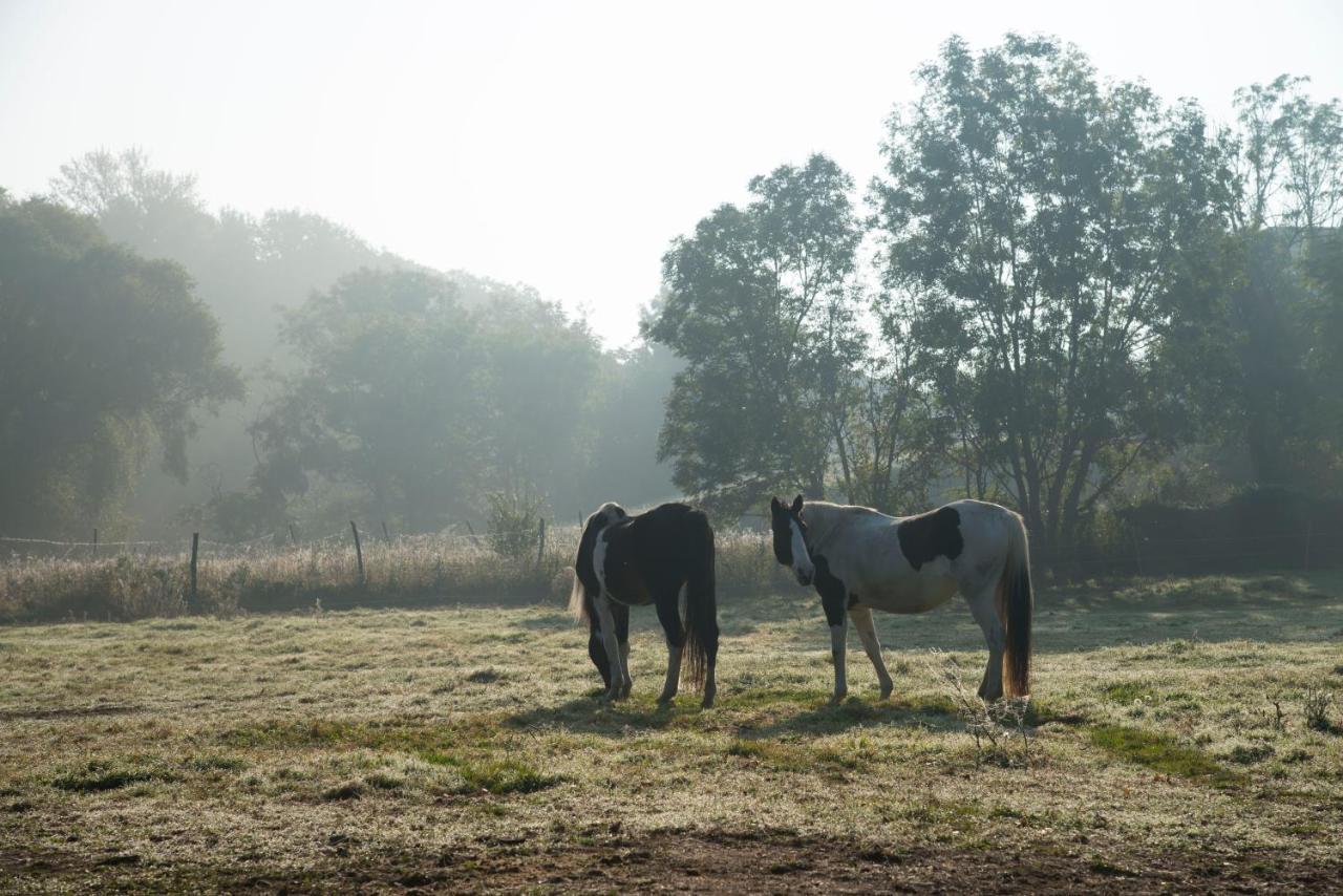 Ranchzimmer Am Hippo-Campus Reit- Und Therapiezentrum Deutsch Haslau エクステリア 写真
